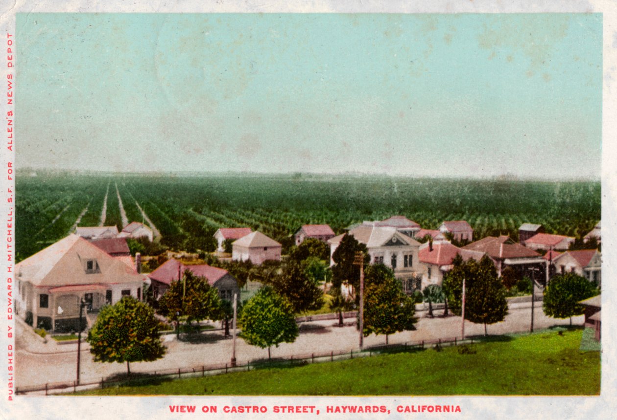 Castro Street, Hayward, Califórnia, 1905 de Unbekannt