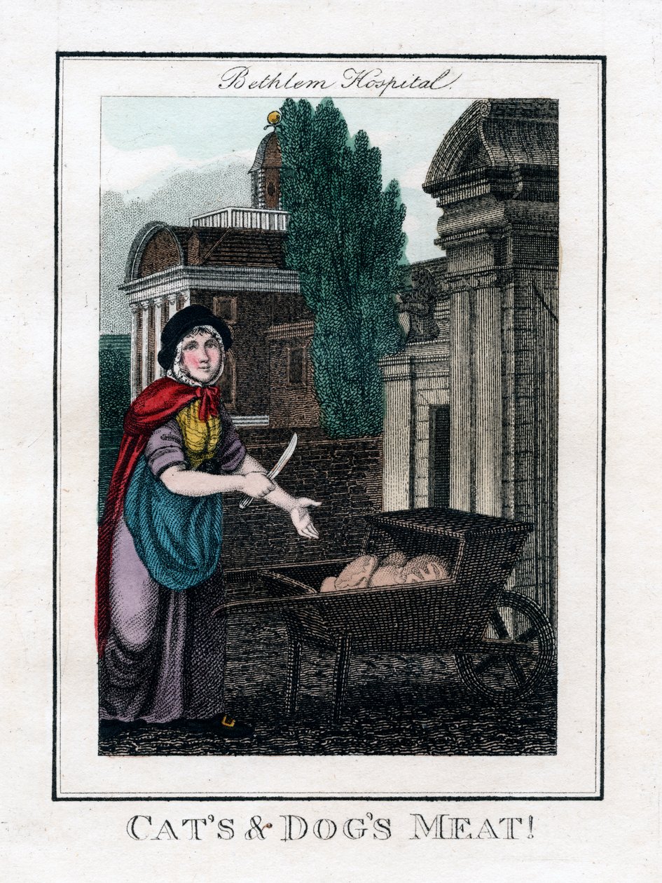Carne de Gatos e Cães !, Bethlem Hospital, Londres, 1805 de Unbekannt