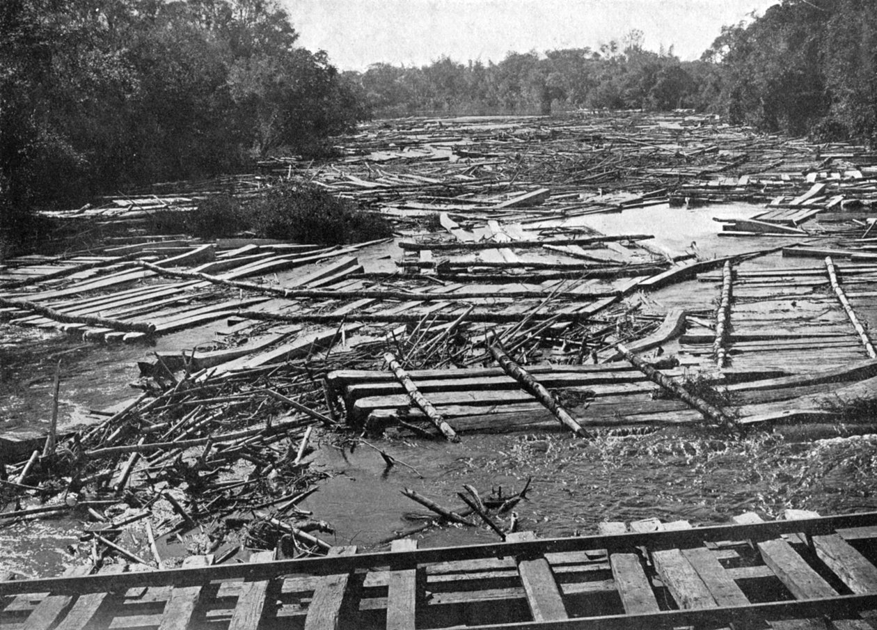 Troncos de cedro no rio Tebicuary-Guazu flutuando na ponte ferroviária, Paraguai, 1911 de Unbekannt