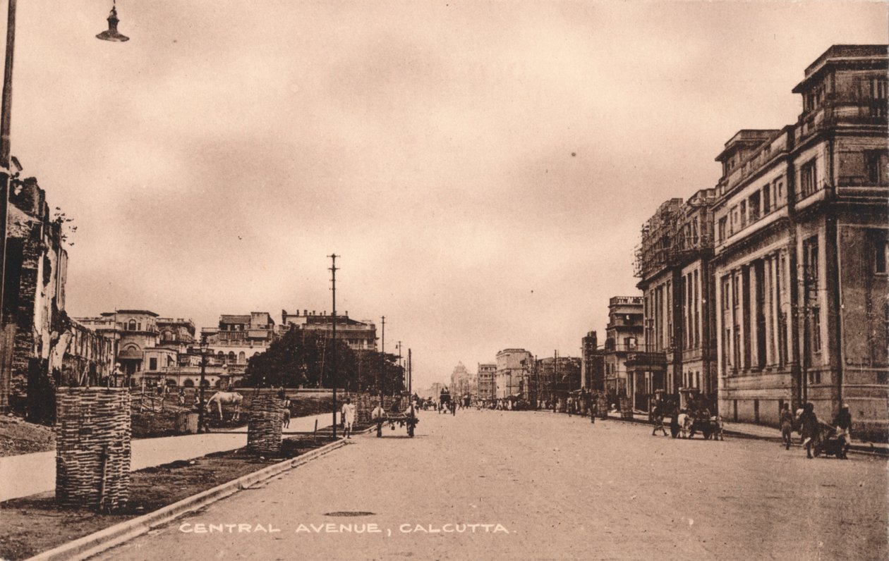 Avenida Central, Calcutá, c1900 de Unbekannt