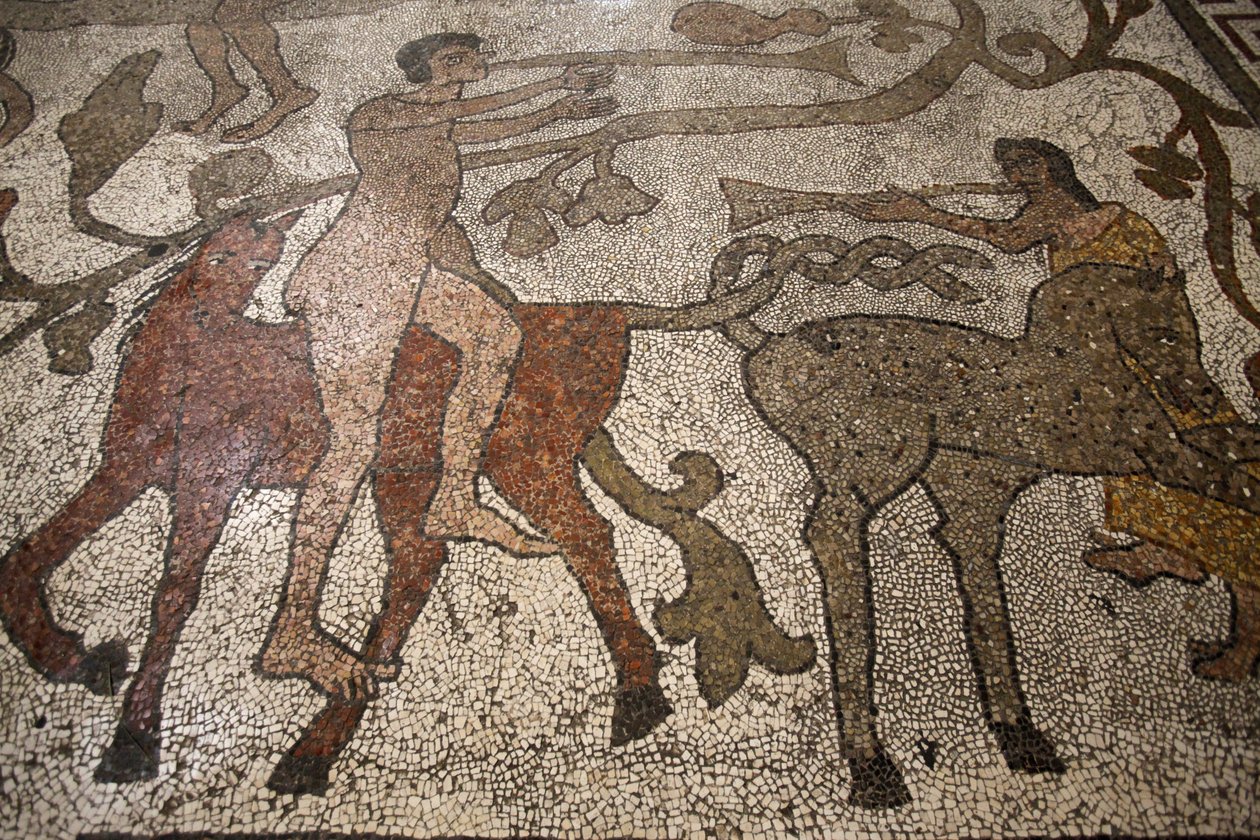 Mosaico da nave central no chão de Otranto duomo : cavaleiros, Otranto, Itália de Unbekannt