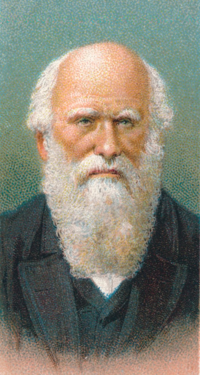 Charles Darwin 1809-1882, naturalista britânico, 1924 de Unbekannt