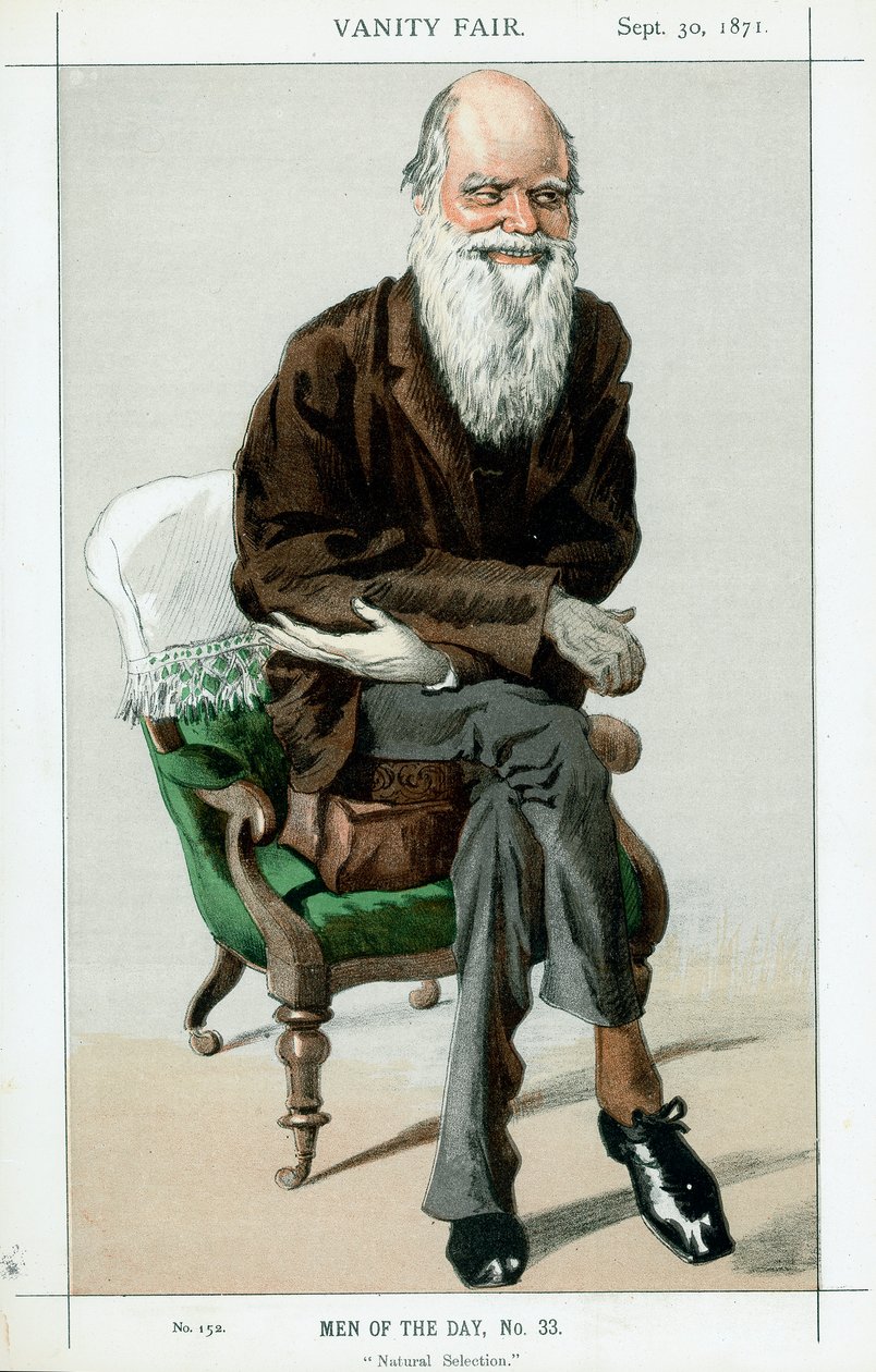 Charles Darwin, naturalista inglês, 1871 de Unbekannt