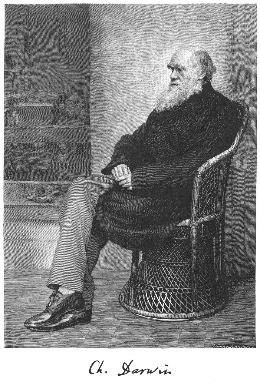 Charles Darwin, naturalista inglês, 1883 de Unbekannt