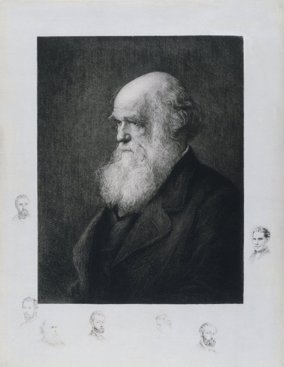 Charles Darwin, naturalista inglês, c 1860s de Unbekannt