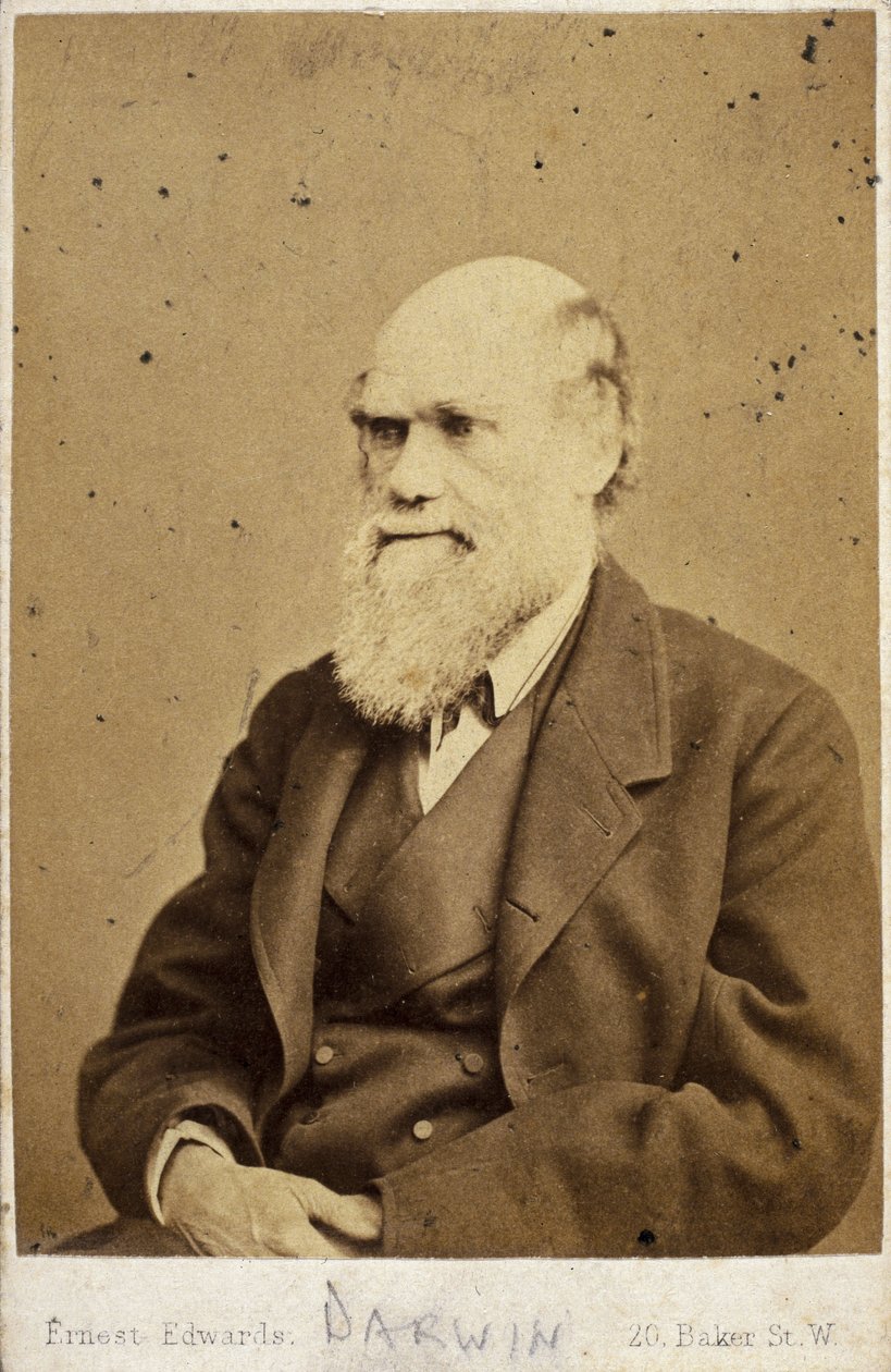 Charles Darwin, naturalista inglês, c 1870s de Unbekannt