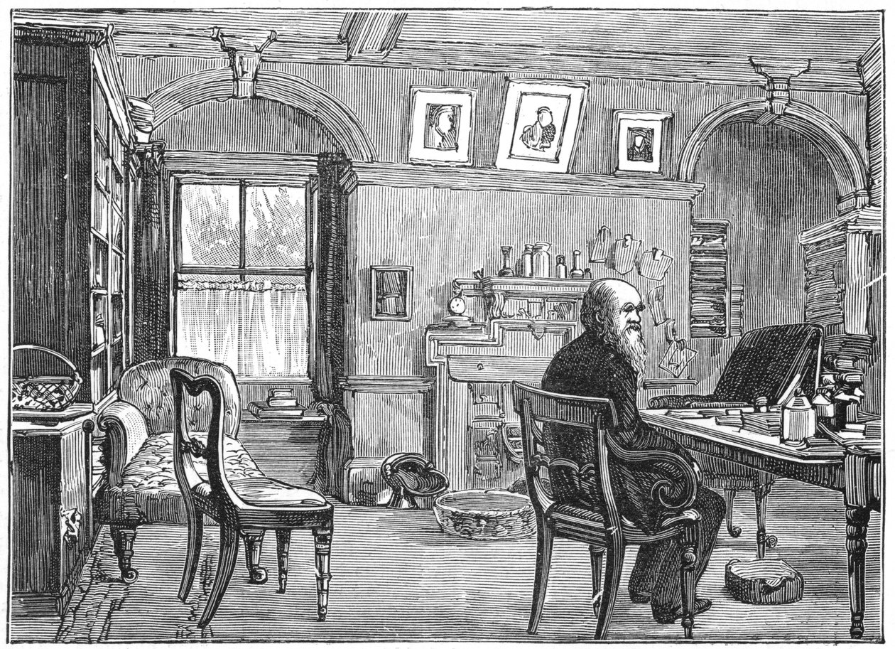 Charles Darwin, naturalista inglês, em seu estudo, c1870 1887 de Unbekannt