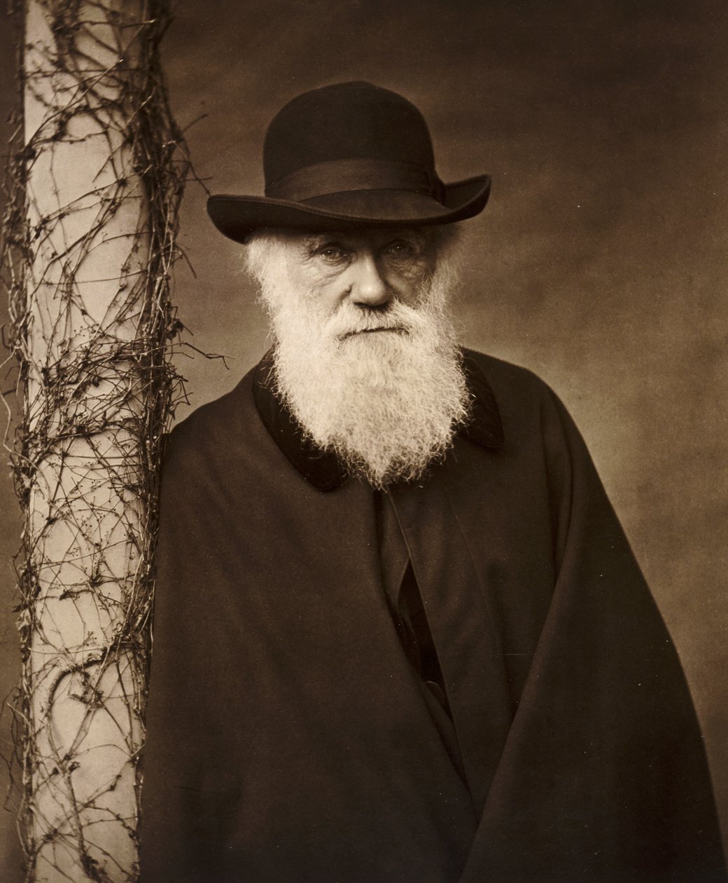Charles Darwin em sua casa em Down House, Kent, c1880 de Unbekannt