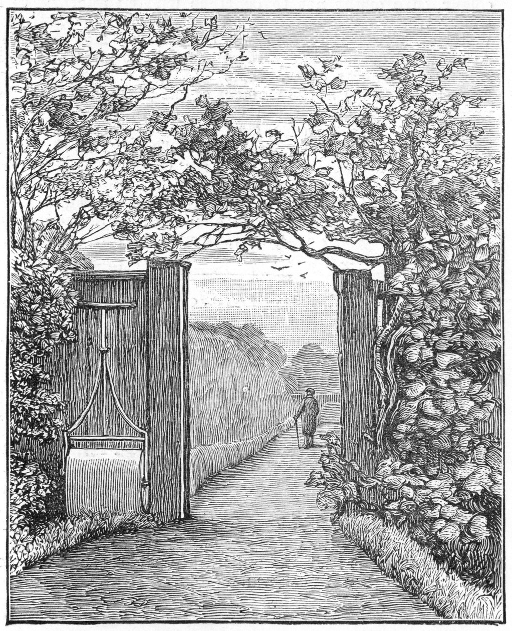 Charles Darwin na areia a pé na Down House, c1870 1887 de Unbekannt