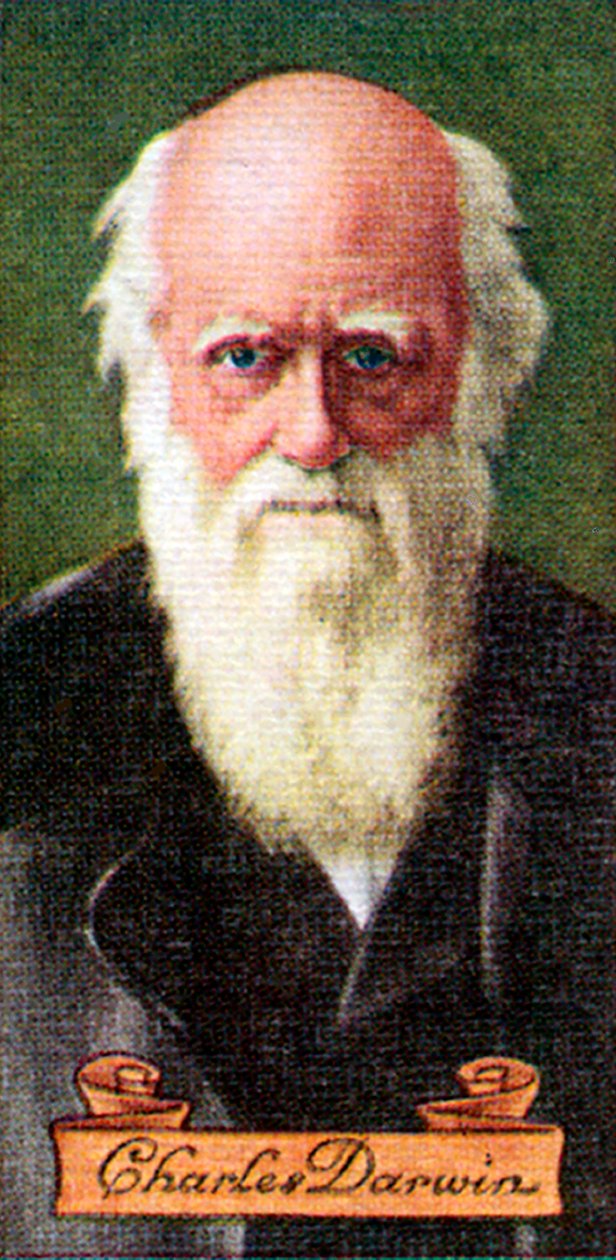 Charles Darwin, tirado de uma série de cartões de cigarro, 1935 de Unbekannt