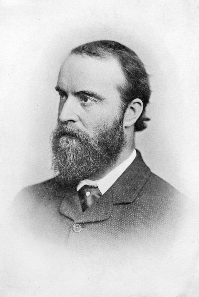 Charles Stuart Parnell, político irlandês do século XIX, c1874-1891 de Unbekannt