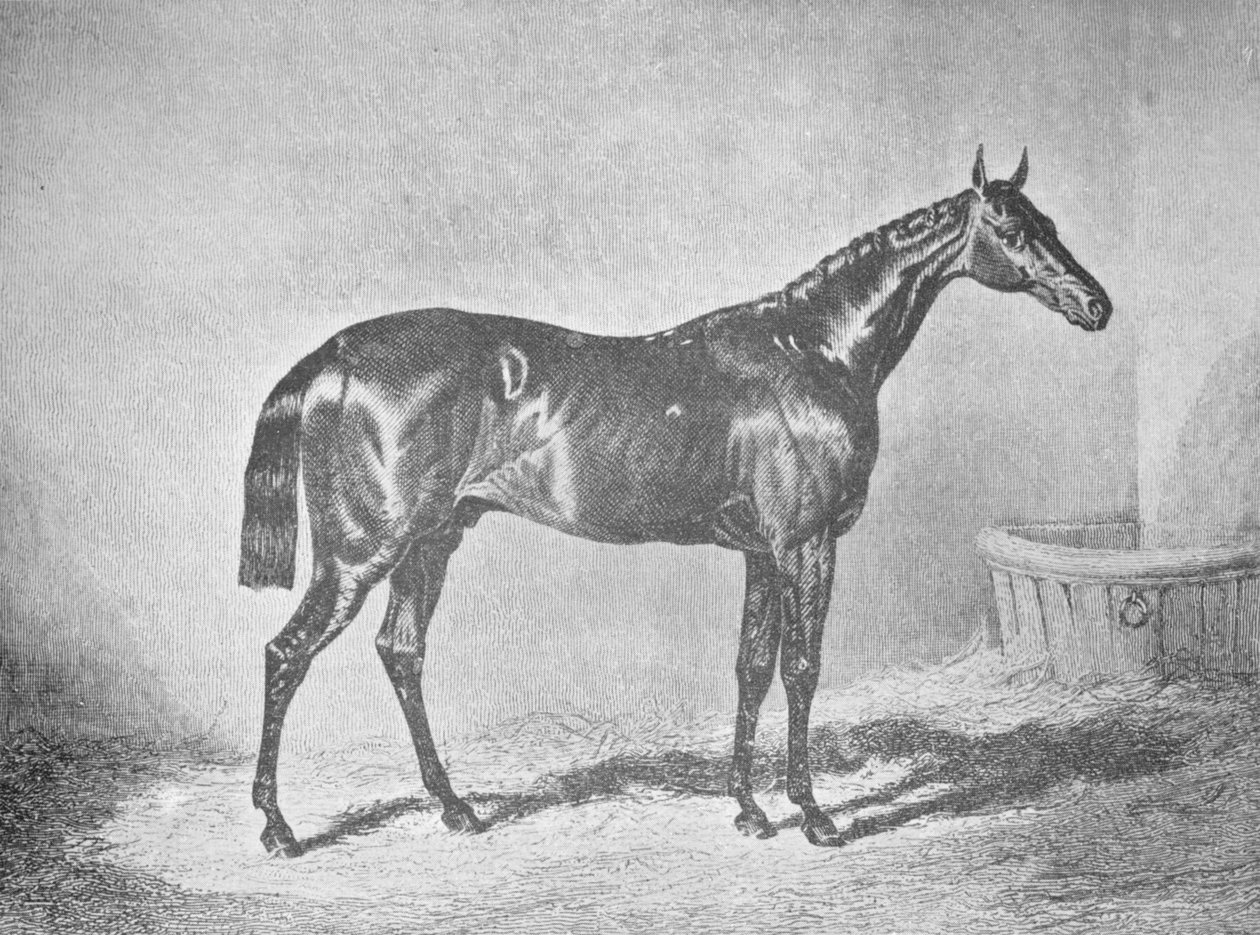 Carlos XII, vencedor do St. Leger 1839, 1911 de Unbekannt