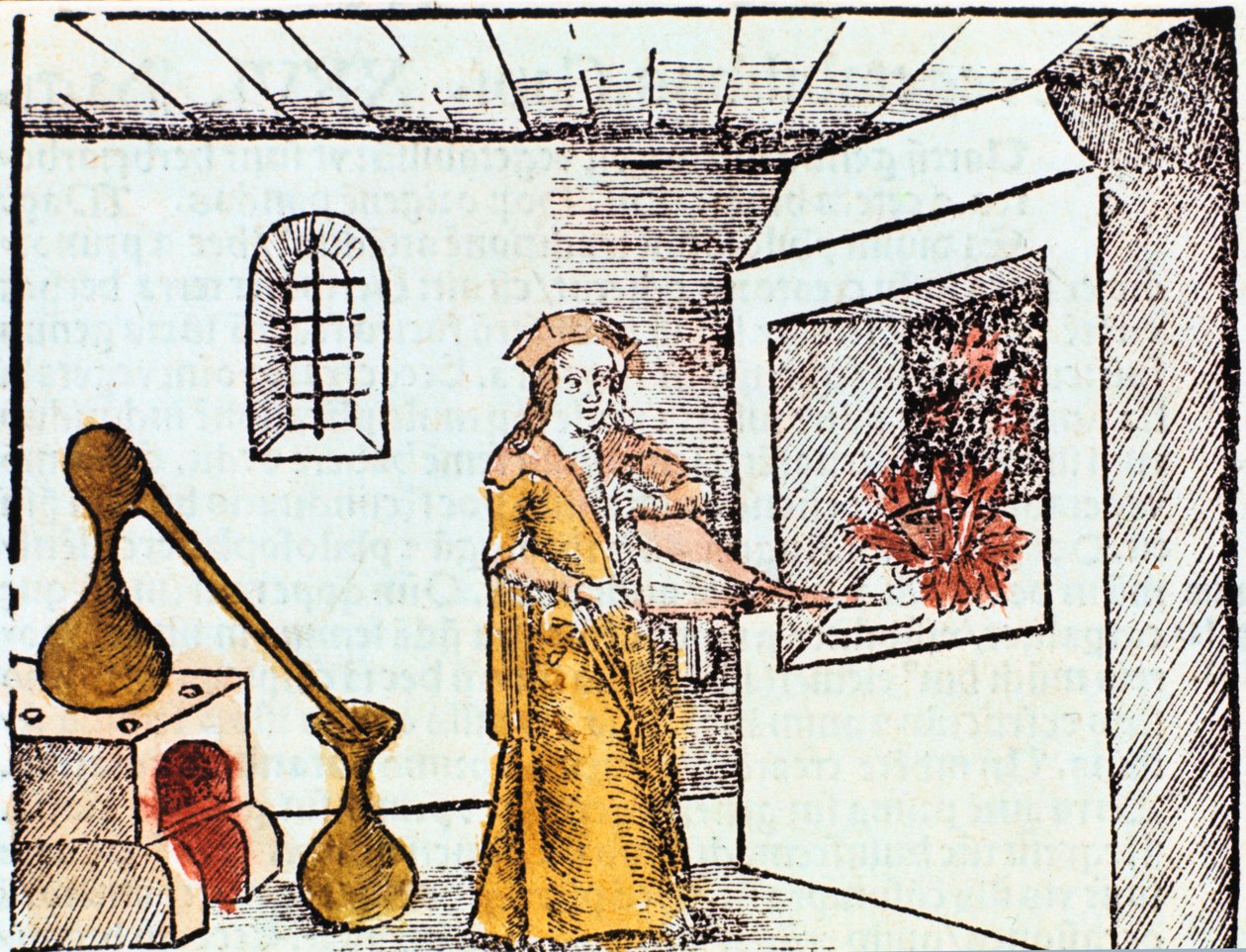 Químico, 1508 de Unbekannt