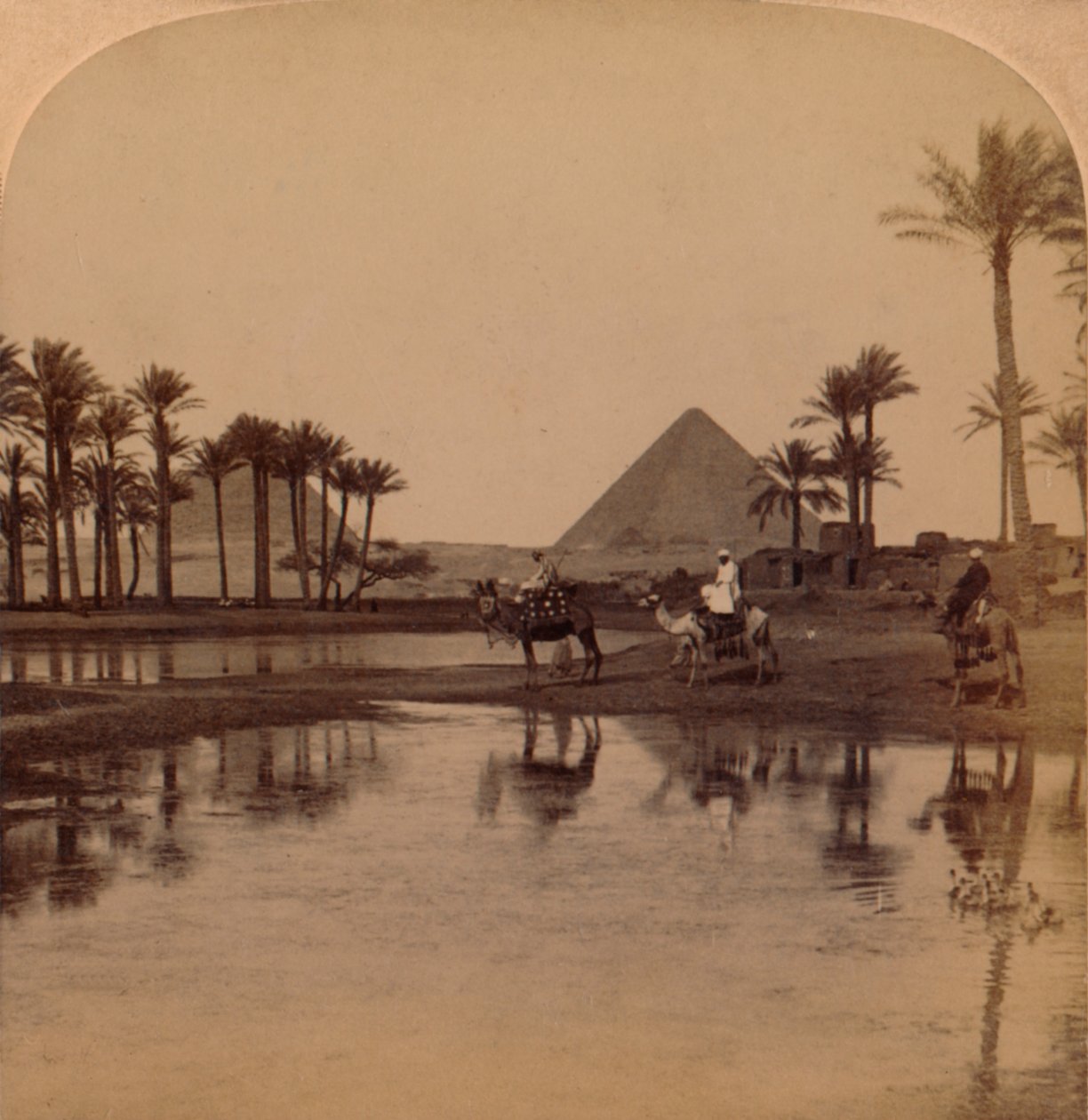Quéops do fértil vale do Nilo, Egito, 1896 de Unbekannt