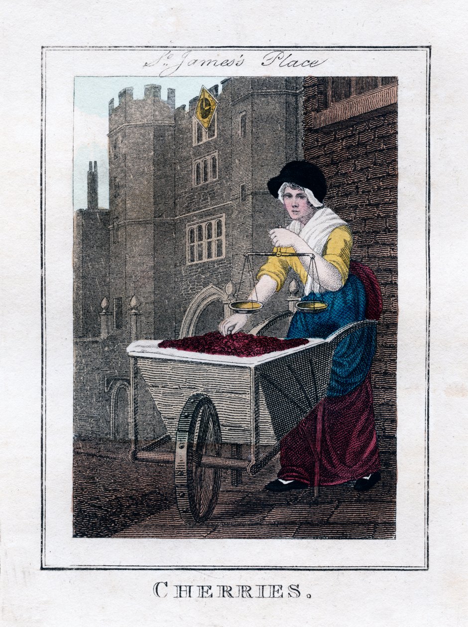 Cerejas, Palácio de St Jamess, Londres, 1805 de Unbekannt