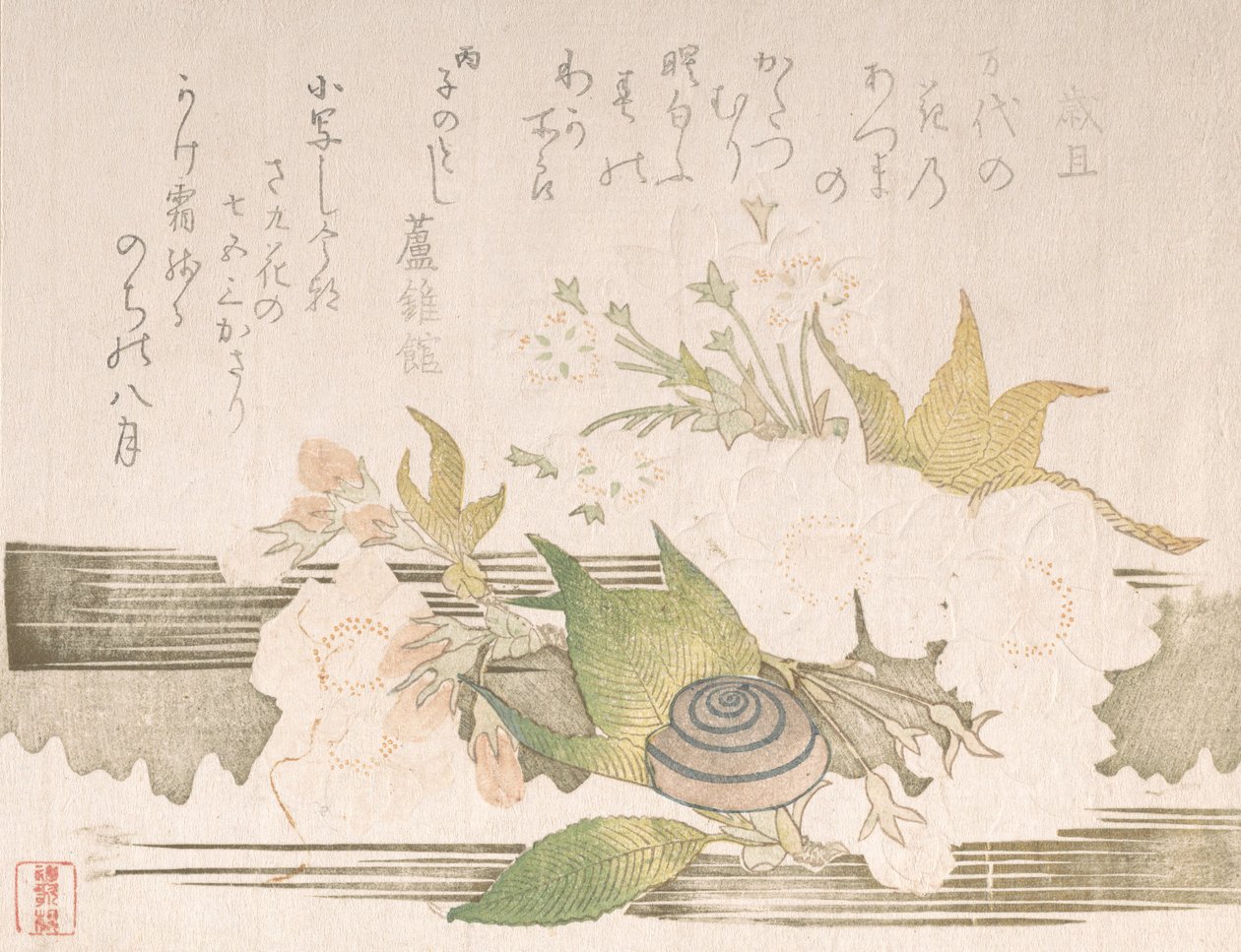 Flores de cerejeira e um caracol, 1816. de Unbekannt