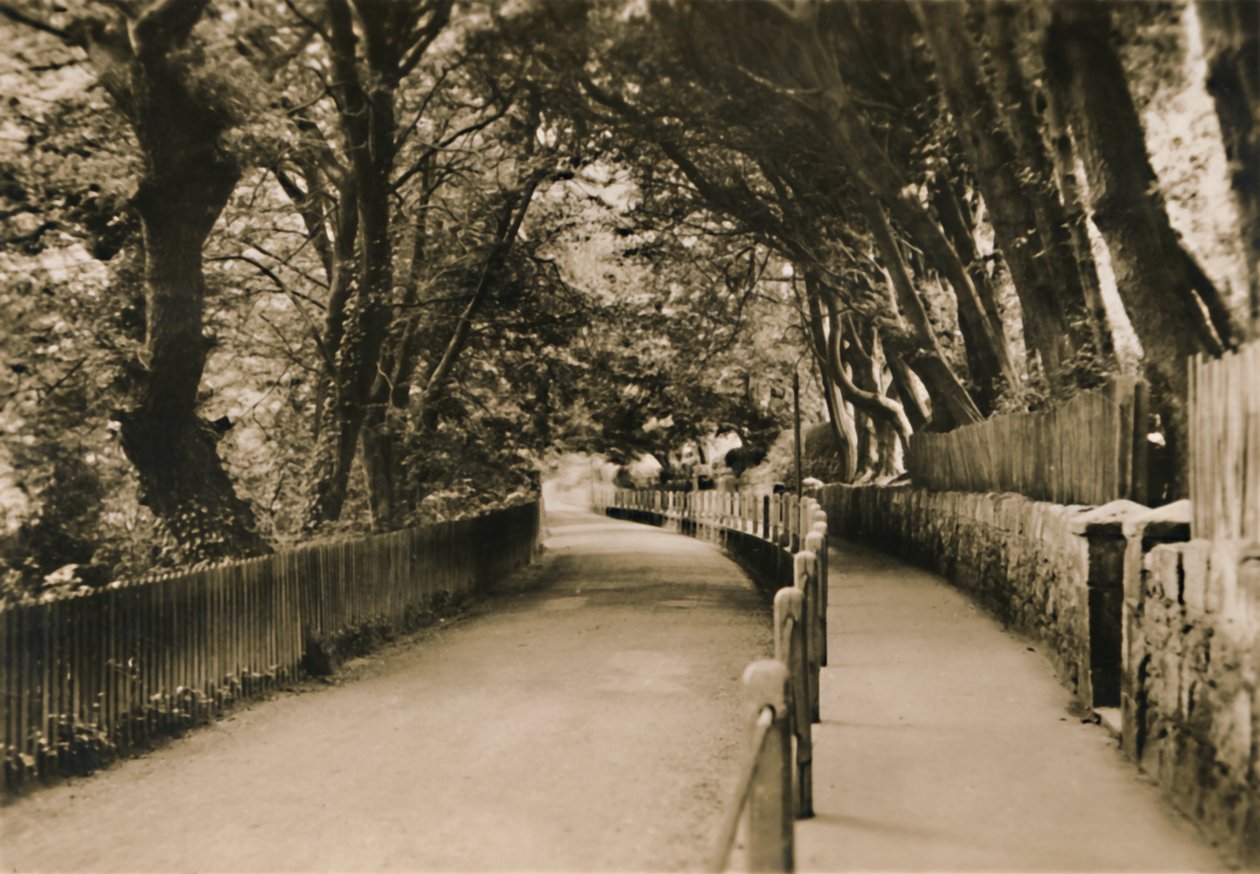 China Avenue, Shanklin, IW, c1920. de Unbekannt