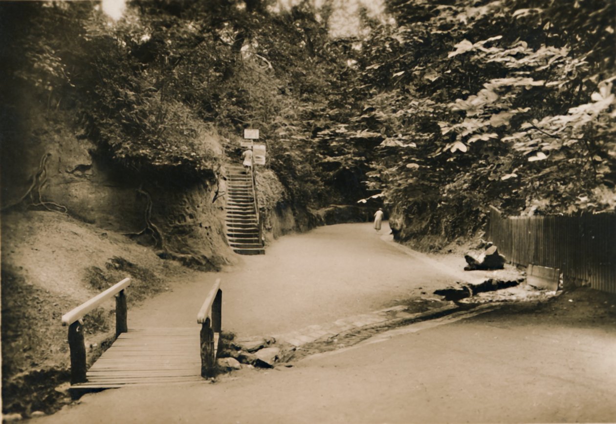Chine Hollow, Shanklin, IW, c1920. de Unbekannt