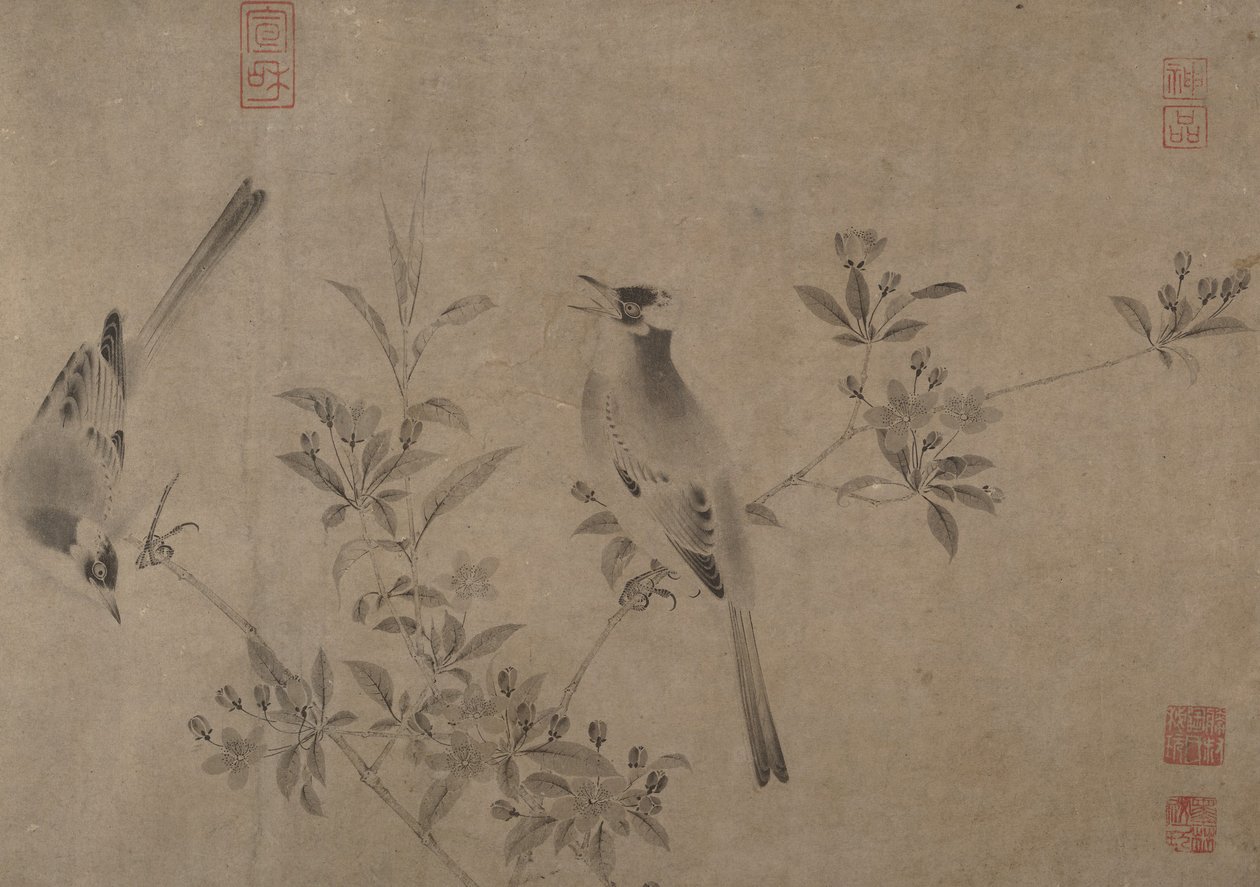 Bulbuls chineses na flor de cerejeira. de Unbekannt