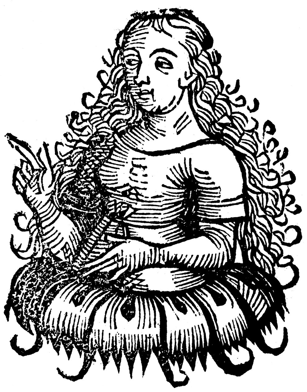 Sibila Ciméria, 1493 de Unbekannt