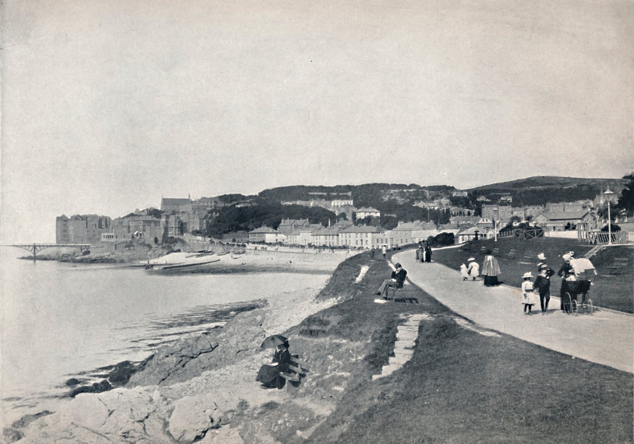 Clevedon - a praia verde, 1895 de Unbekannt