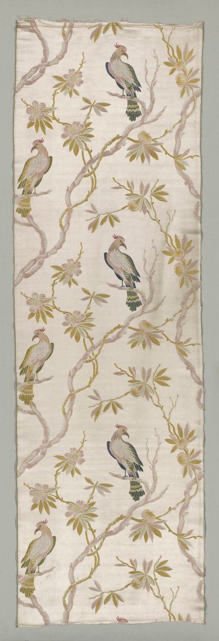 Cacatuas, final dos anos 1700 - início dos anos 1800. de Unbekannt