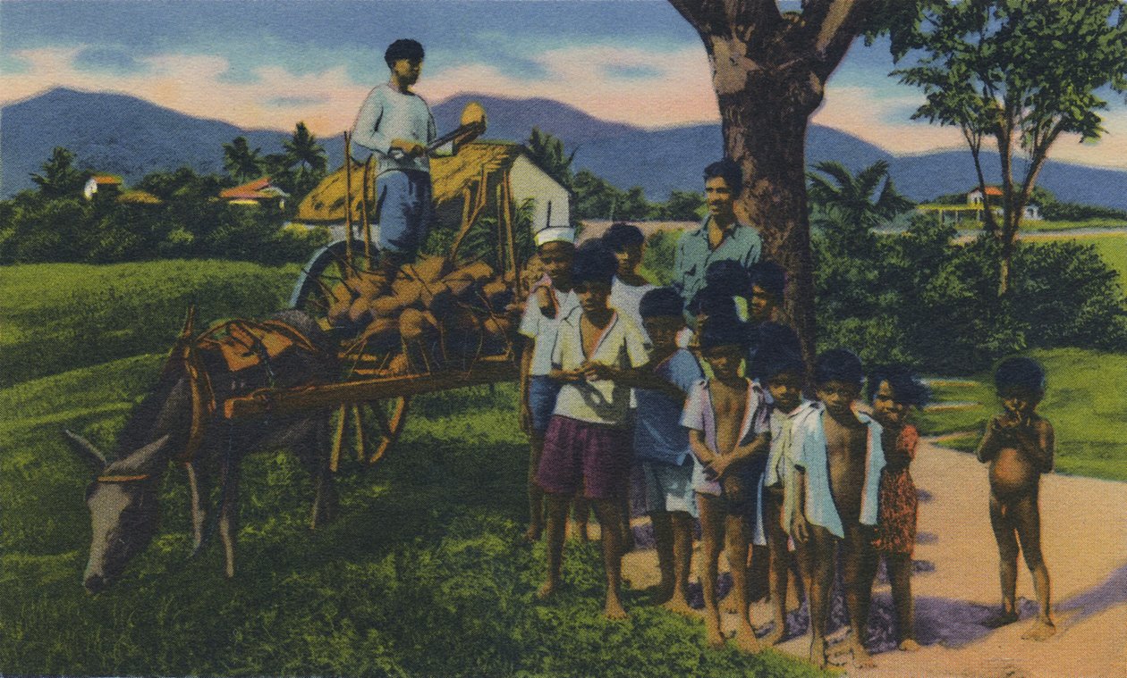Fornecedor de coco, Trinidad, BWI, c1940s. de Unbekannt