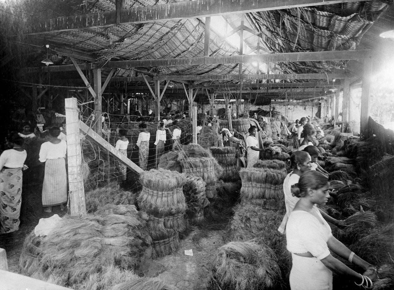 Produção de coco, Índia, século XX de Unbekannt