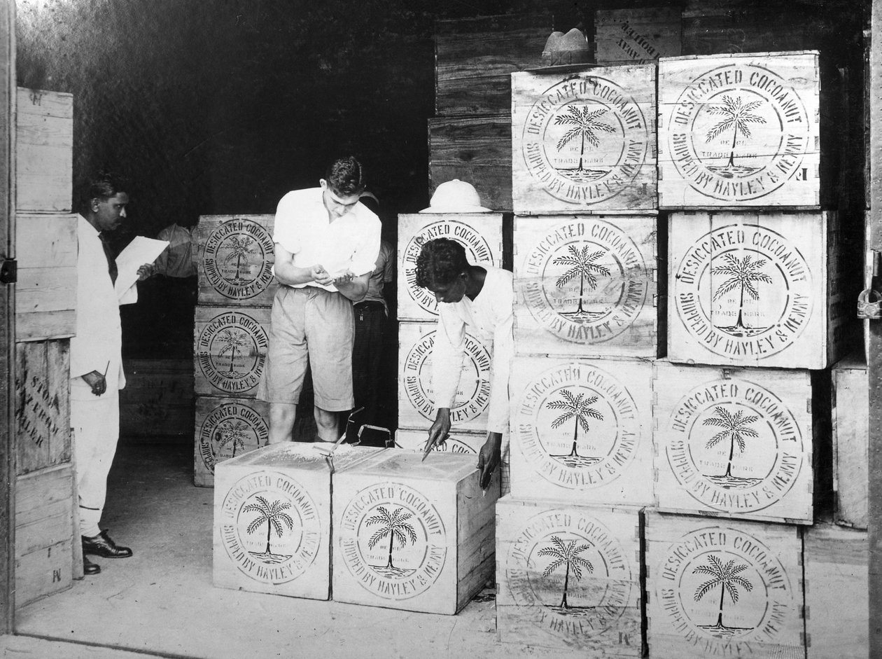 Produção de coco, Índia, século XX de Unbekannt