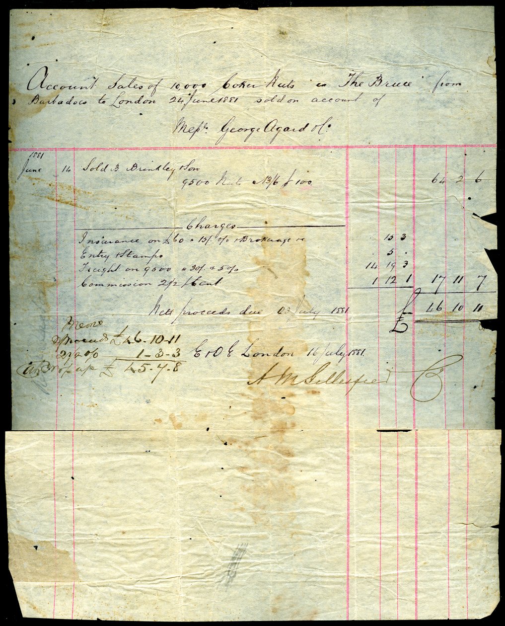 Recibo de venda de coco, Barbados a Londres, 1881 de Unbekannt