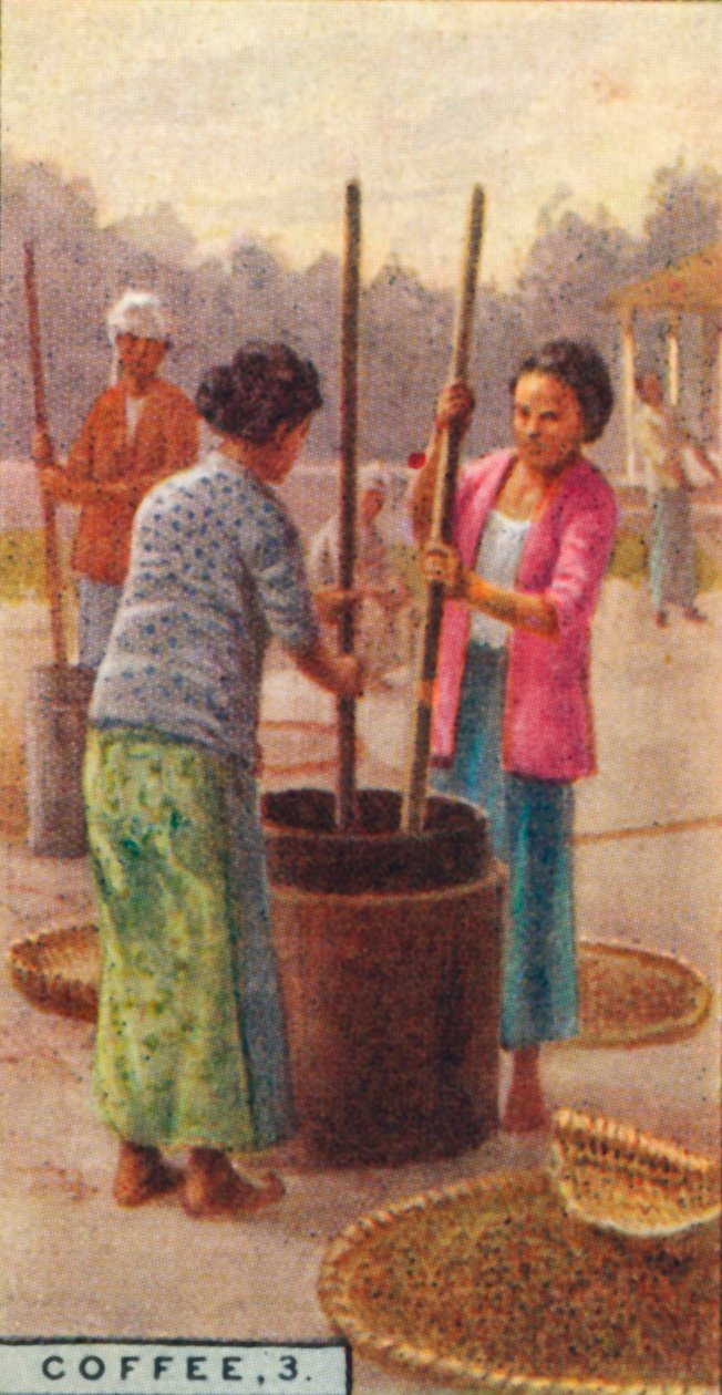 Café, 3. Casca de Feijão, Java, 1928 de Unbekannt