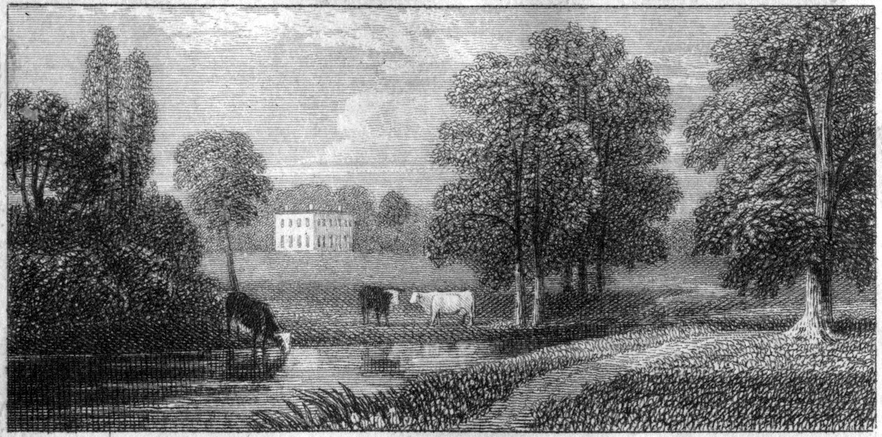 Coley Park, Berkshire, século XIX de Unbekannt