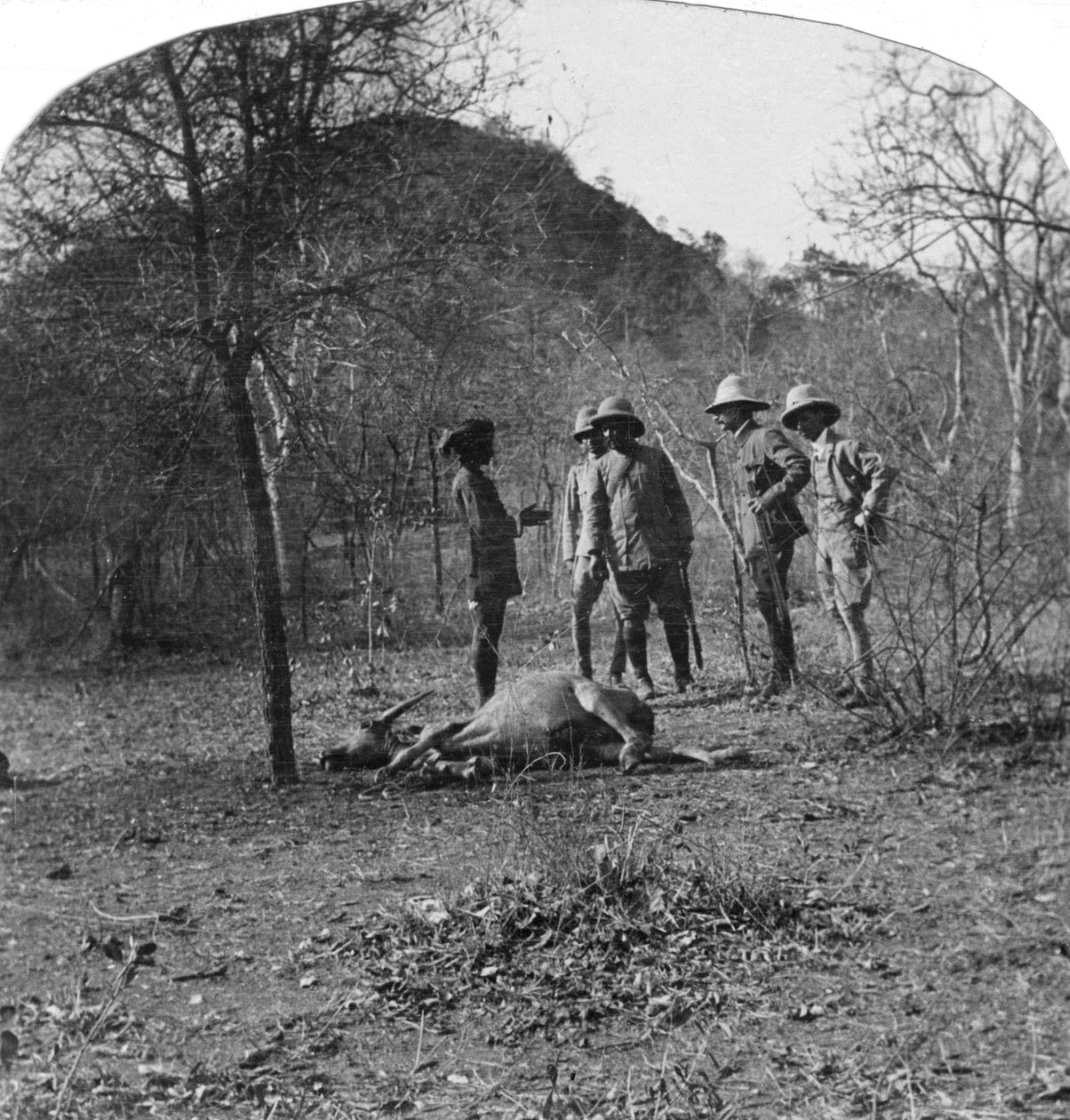 Coronel Afsurul Mulk em uma caça ao tigre, Índia, anos 1900 de Unbekannt