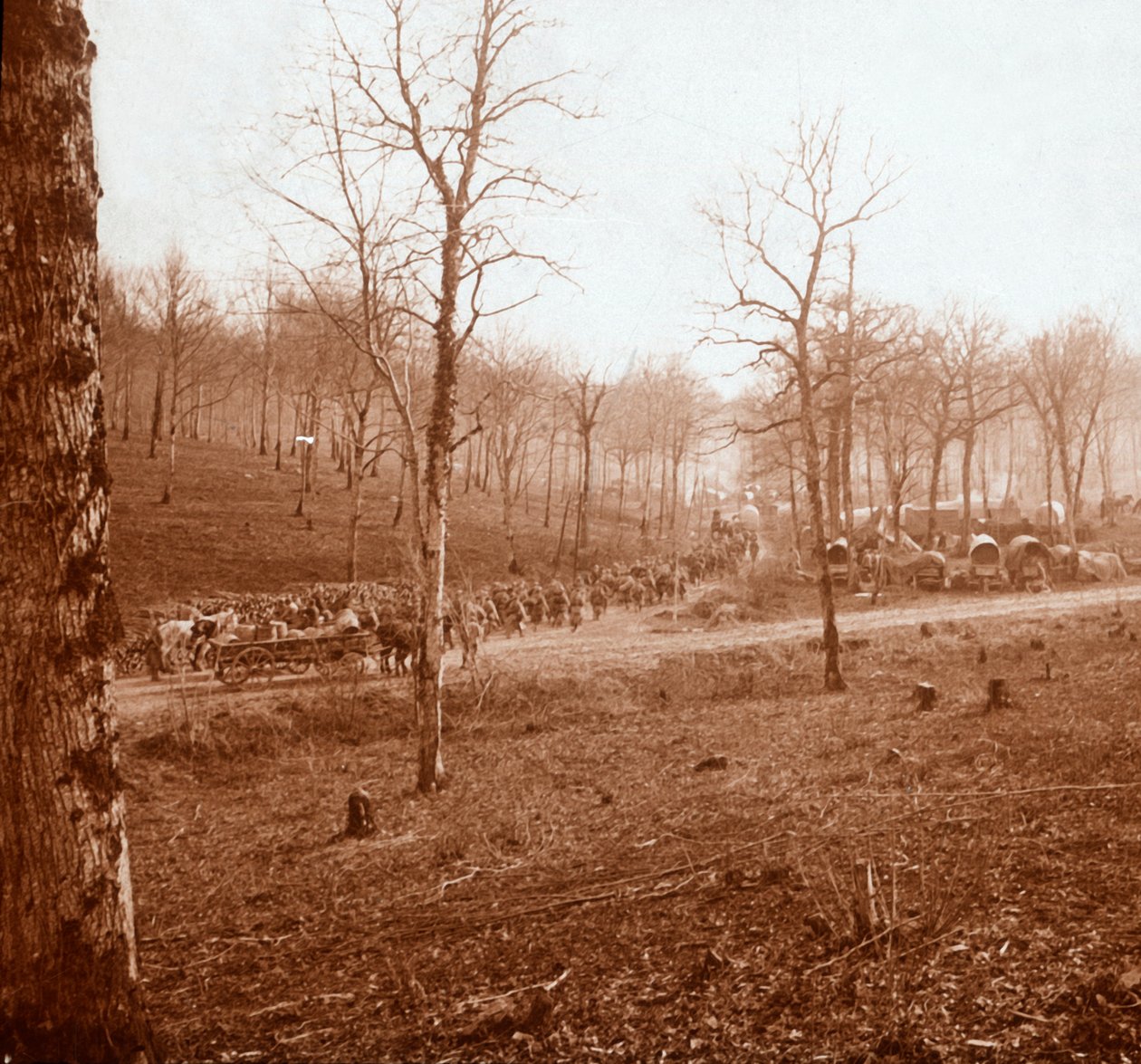 Coluna de tropas, Genicourt, norte da França, c1914-c1918 de Unbekannt