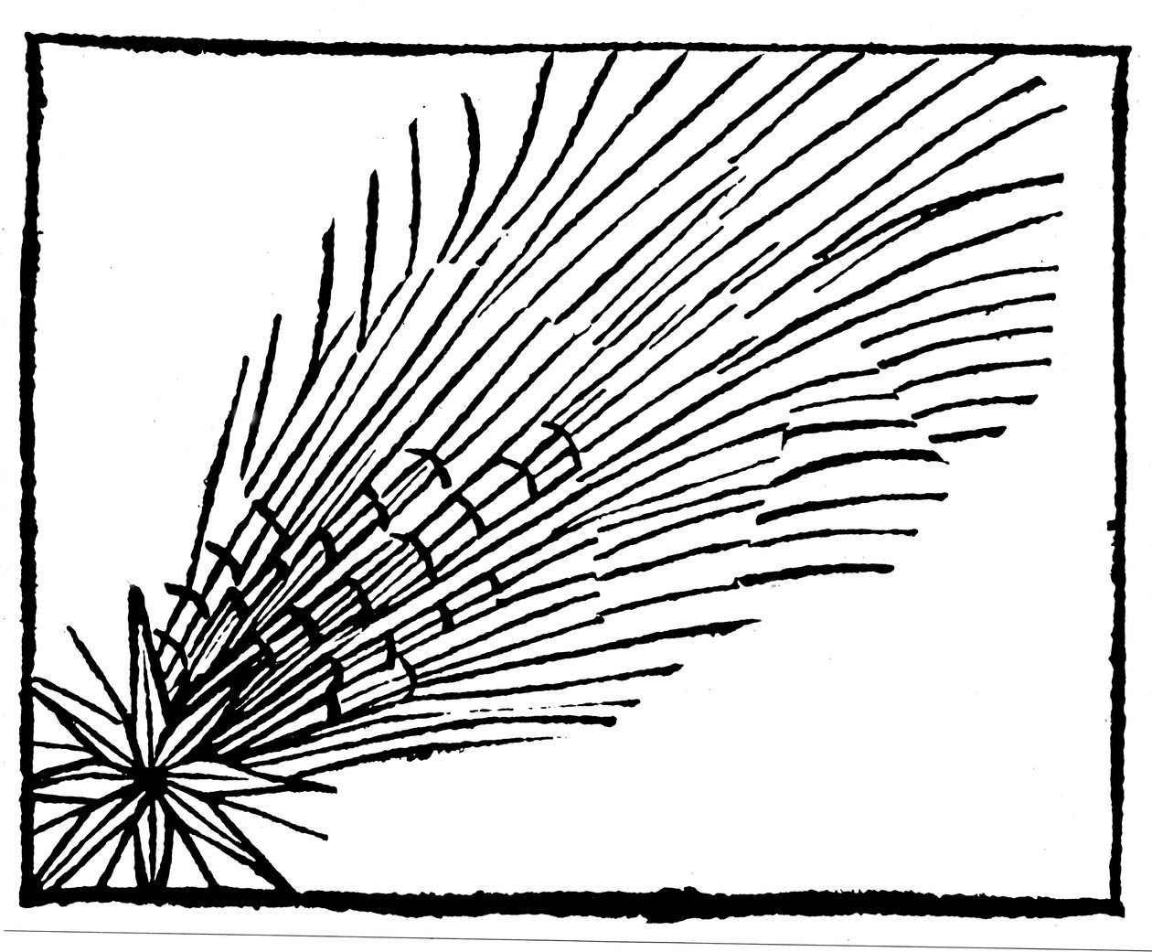 Cometa de 684 Halley, 1493 de Unbekannt