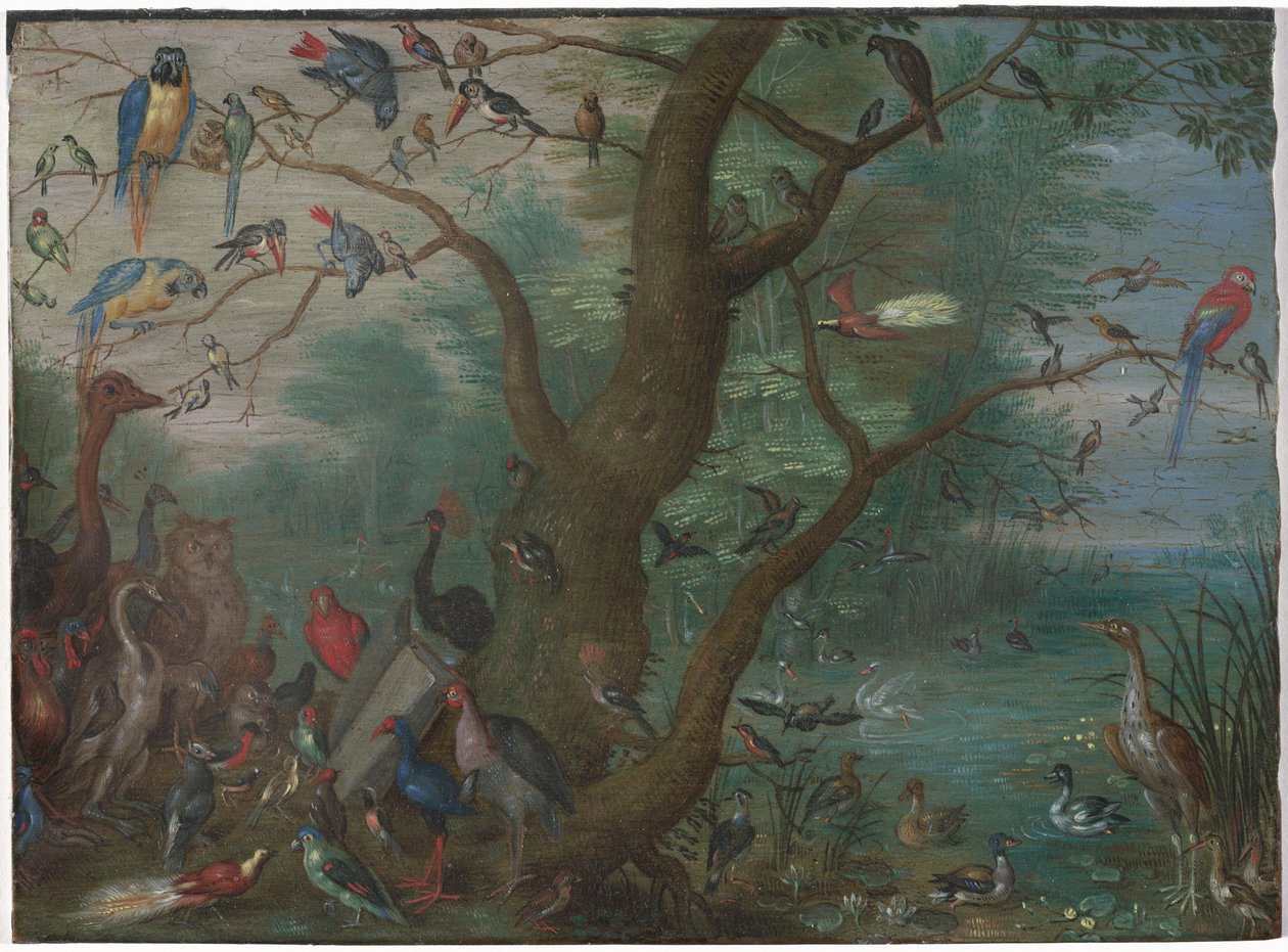 Concerto dos Pássaros, 16601670. de Unbekannt