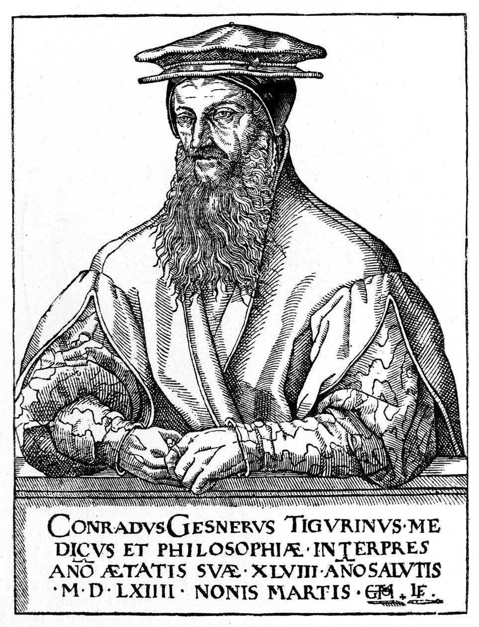 Conrad Gessner, naturalista suíço, 1887 de Unbekannt