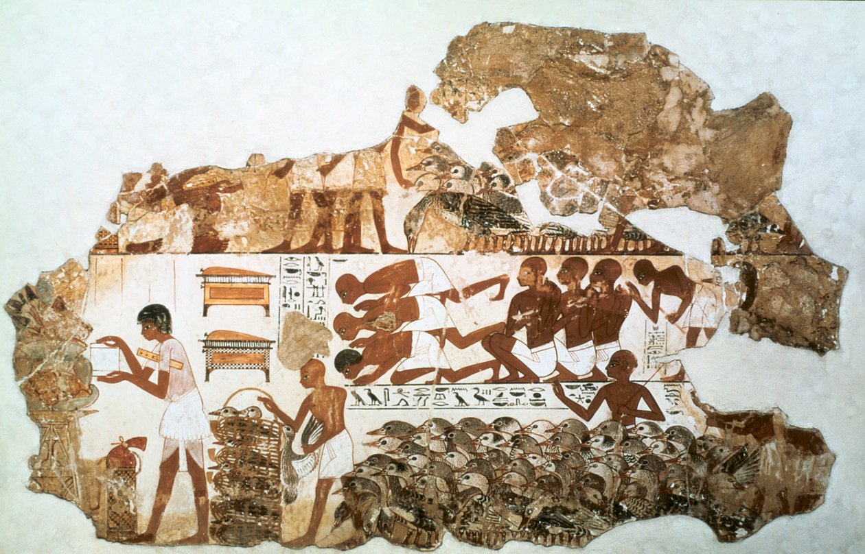 Contando os gansos: fragmento de pintura de parede do túmulo de Nebamun, Tebas, Egito, c1350 aC de Unbekannt