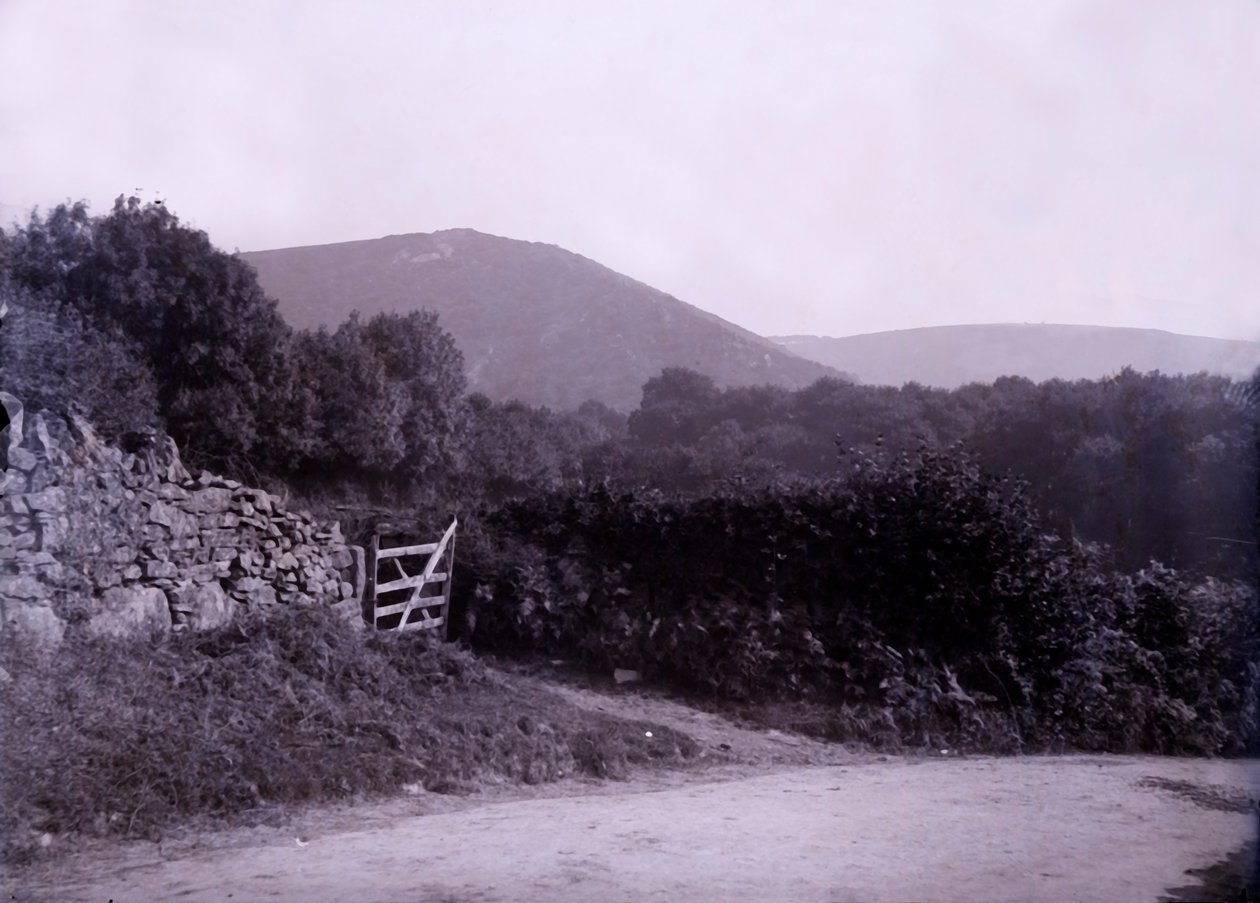 Campo perto de Plymouth em Devon. de Unbekannt