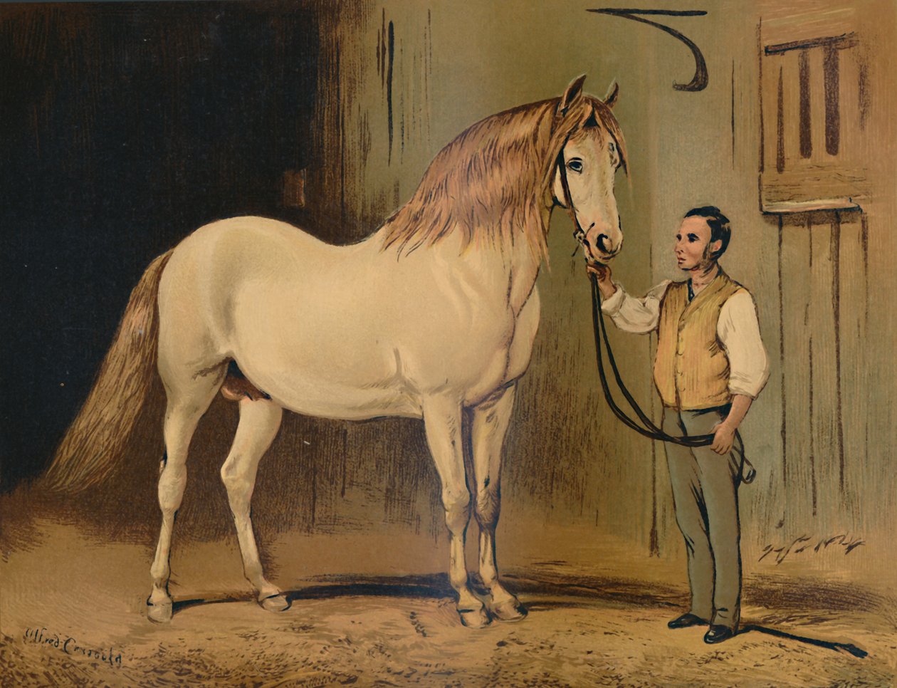 Cavalo de transporte de estado de creme. Of Her Majestys Stud, c1879. de Unbekannt
