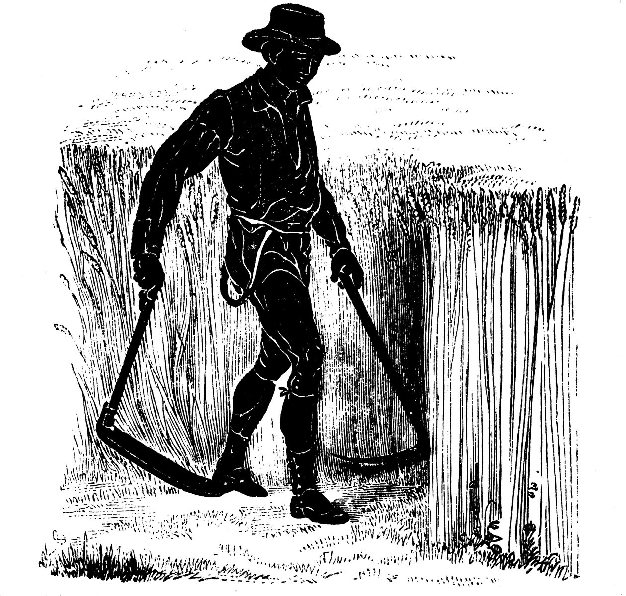 Rotação das culturas: colhendo com uma foice de Hainault, 1855 de Unbekannt