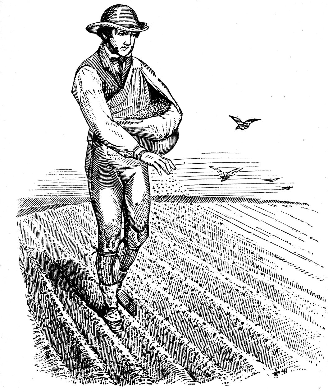 Rotação das culturas: semeadura, 1855 de Unbekannt