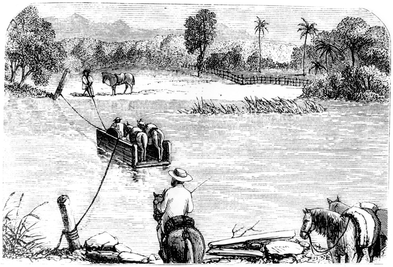 Atravessando a Isabella, Santo Domingo, 1873 de Unbekannt
