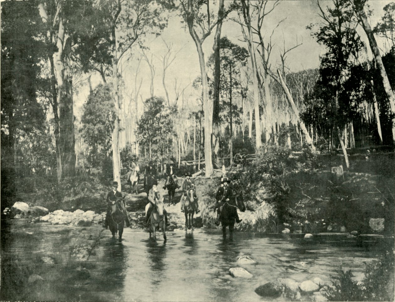 Cruzando o rio, perto de Buffalo Falls, 1901. de Unbekannt