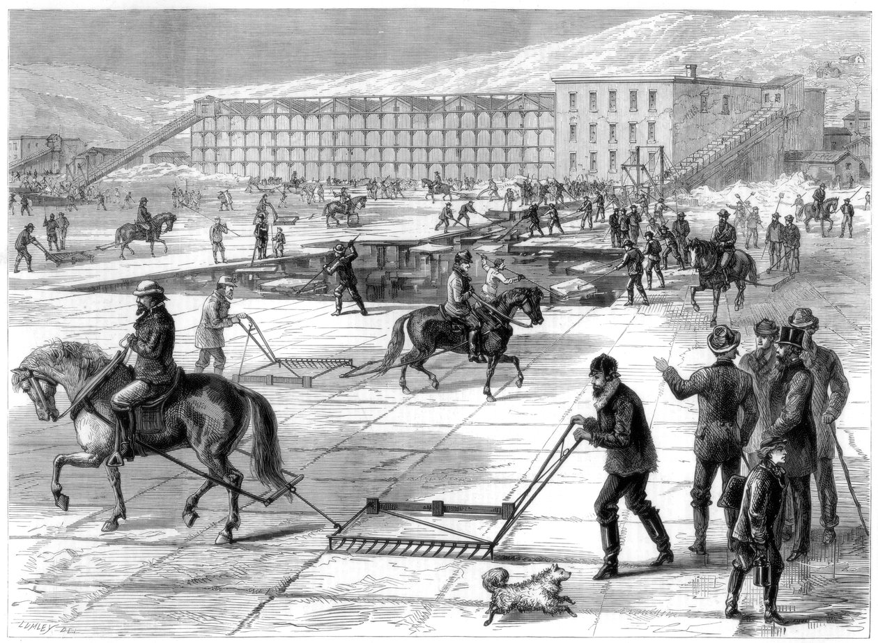 Corte e armazenamento de gelo no rio Hudson, Nova York, EUA, 1875 de Unbekannt