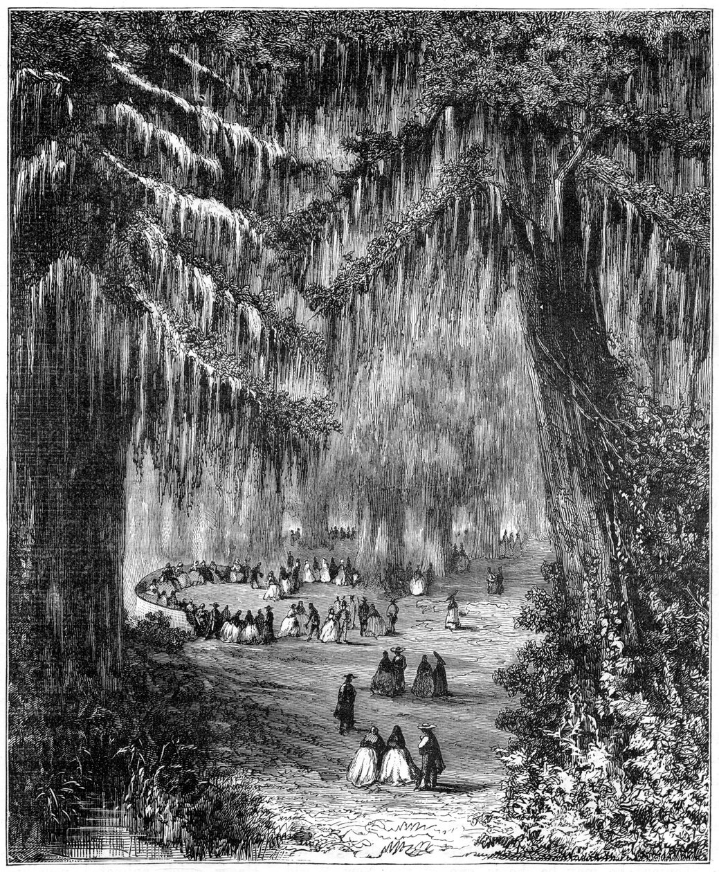 Bosque de ciprestes em Chapultepec, Cidade do México, 1877 de Unbekannt