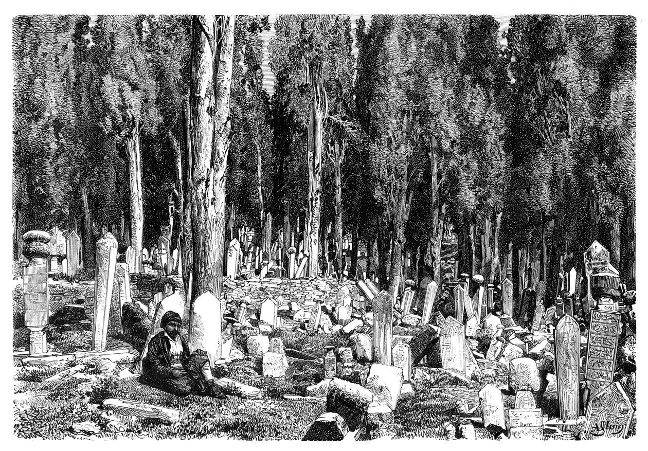 Ciprestes no cemitério de Scutari, Turquia, 1895 de Unbekannt