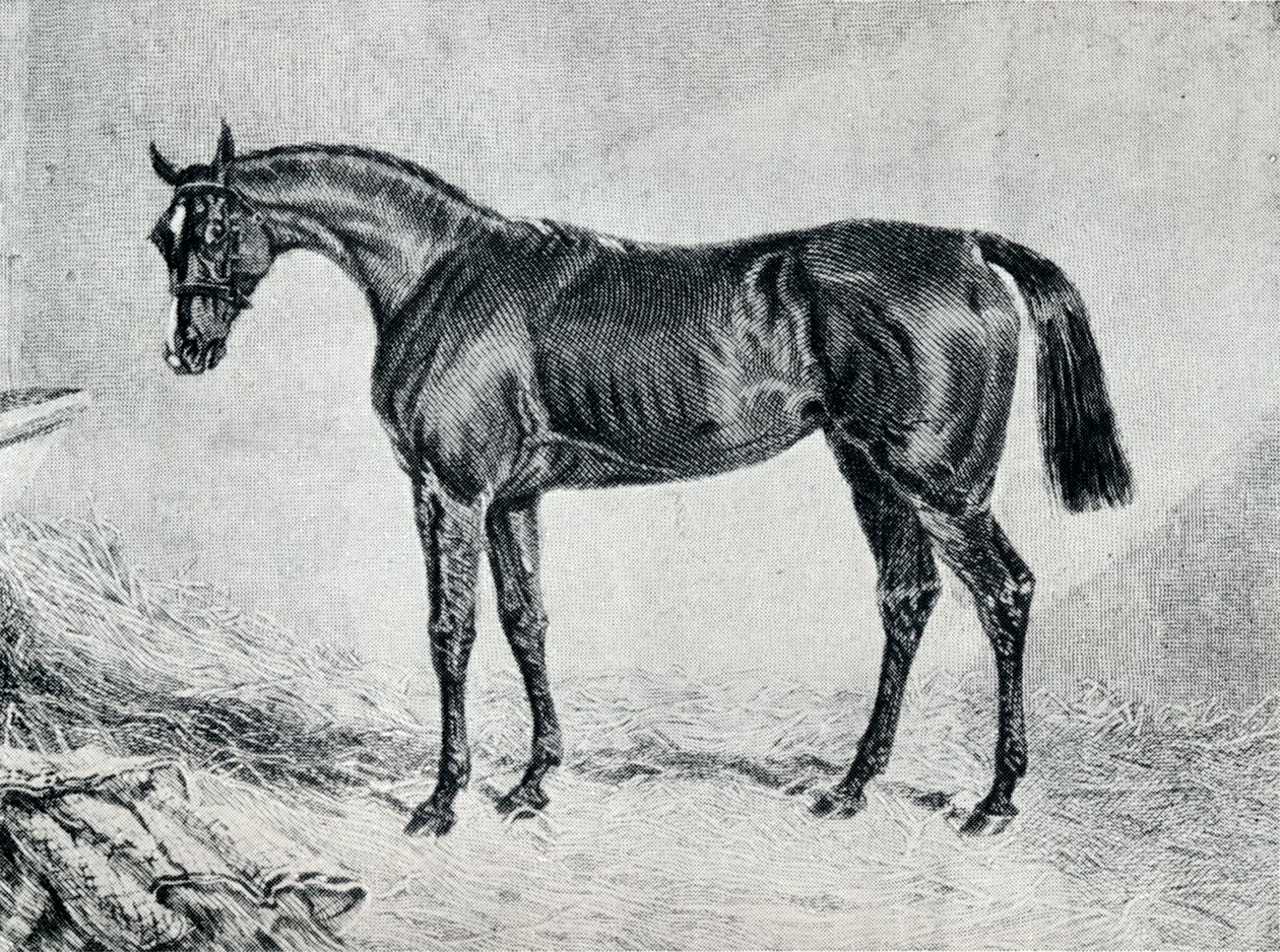 Cipriano, século XIX, 1911 de Unbekannt