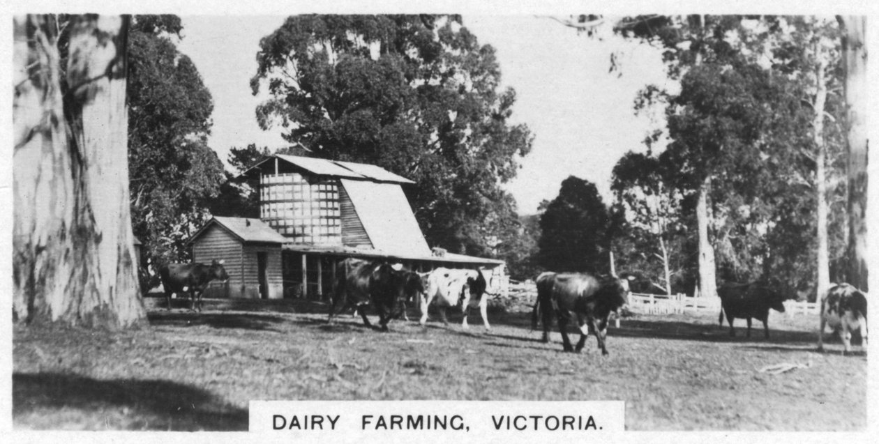 Leiteria, Victoria, Austrália, 1928 de Unbekannt