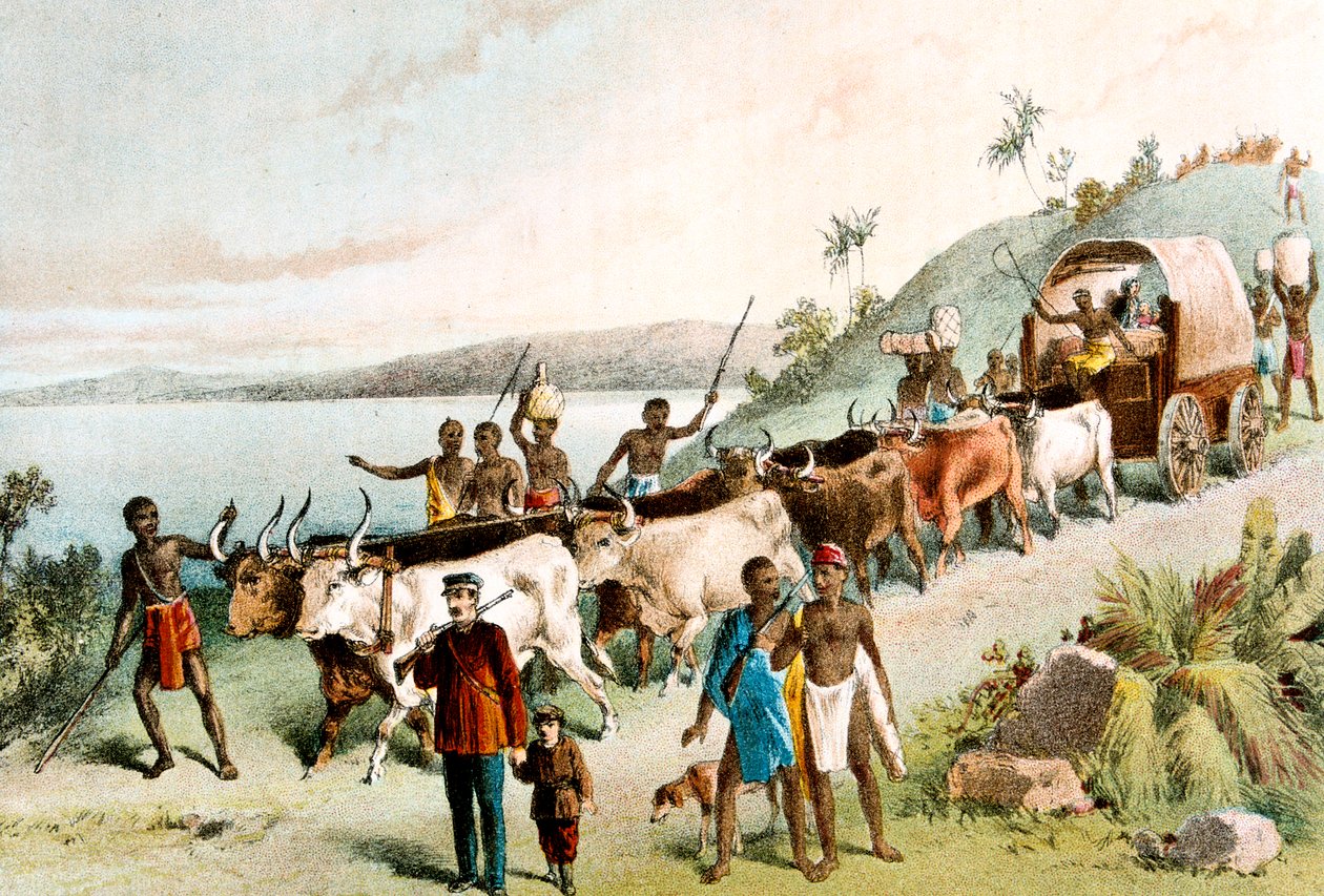 David Livingstone, missionário escocês e explorador africano, 1849 c1878 de Unbekannt